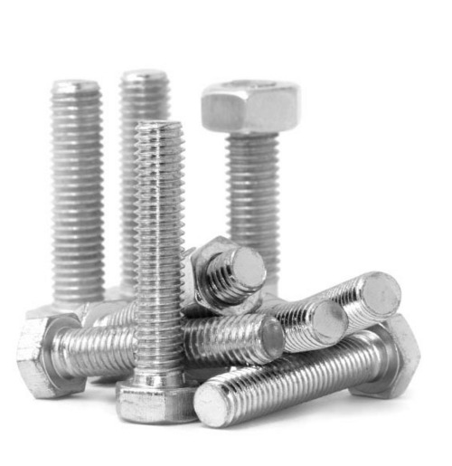 Stainless Steel Bolts