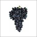 Sharad Seedless Grapes