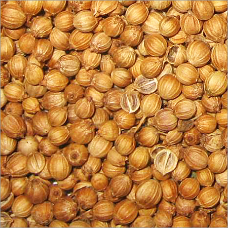Coriander Seeds