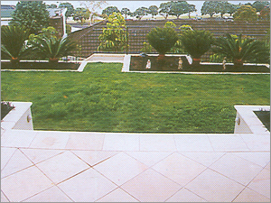 Honey Lines 400 X 400 mm Polished