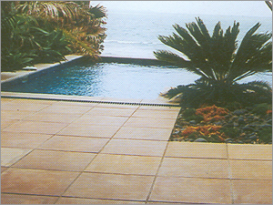 Almond Plain 800 X 800 mm Polished