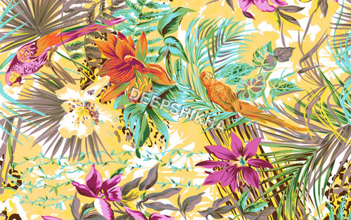 Fancy Shiffon Fabrics