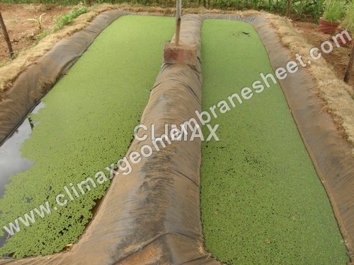 Algae Pond Liner