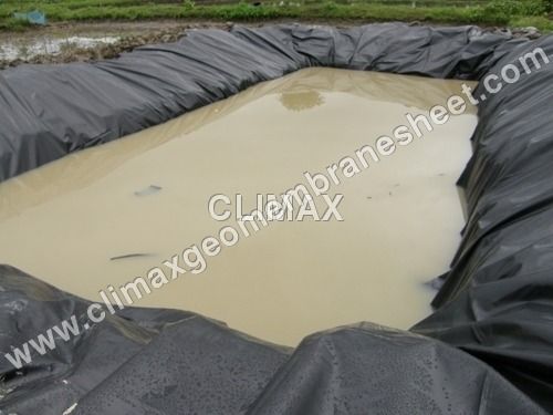 LDPE Fish Pond