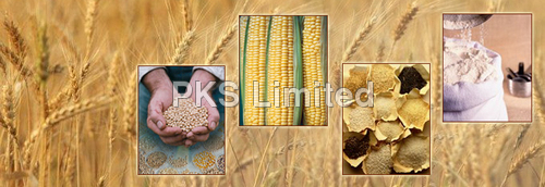 Agricultural Commodities
