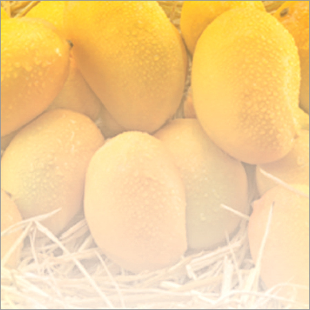 Kesar Mangoes