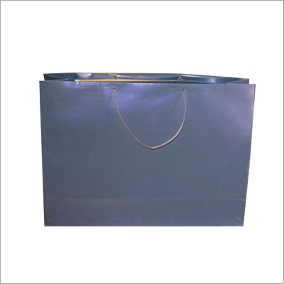 Fancy Plain paper Bags