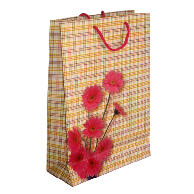 Paper Carry Bag
