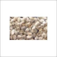 Cotton Seeds