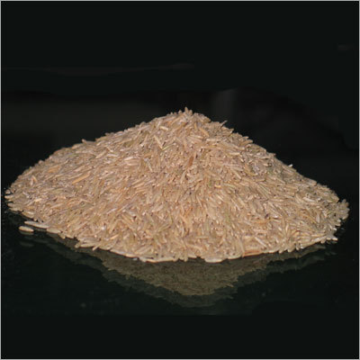Golden colour Rice