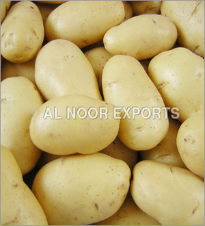 Potato