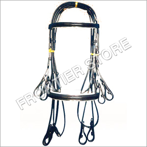 Bridle & Horse Equipments