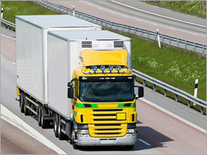 Cargo Handling Services