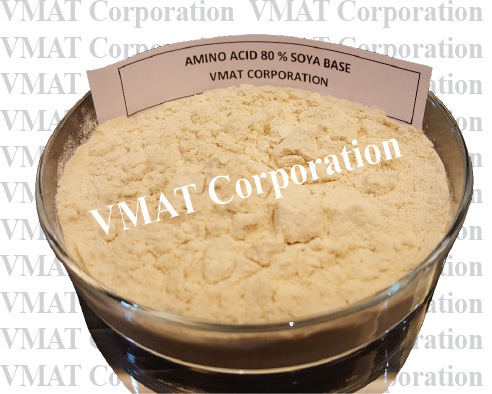 Amino Acids Protein Hyderolysate