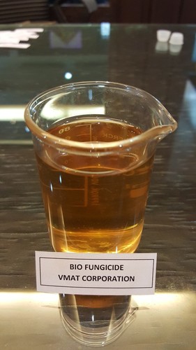 Chitosan Oligosaccharide Chitosan Oligosaccharide