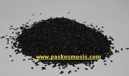 Sesame seeds