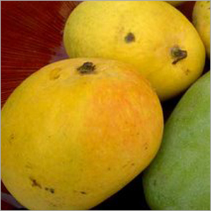 Banganpalli Mangoes
