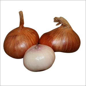Shallots