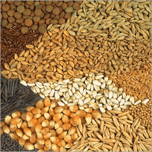 Seeds