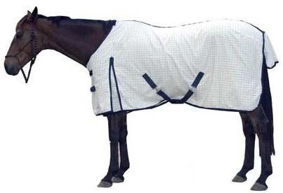 Summer Sheet