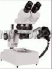 Binocular Microscope