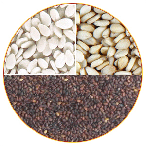 Sesame Seeds