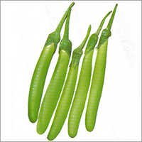 Hybrid Plant Seeds