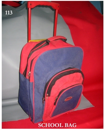 Trolley School Bag