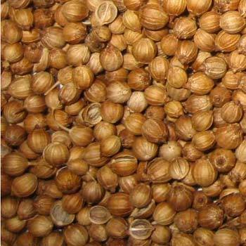 Coriander