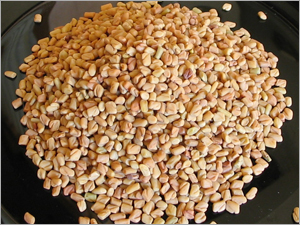 Fenugreek (Methi Seeds)