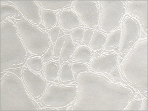 Nw Anemon Artificial Sofa Leather