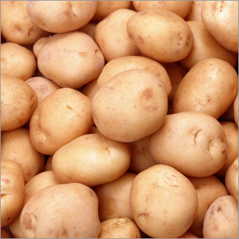 Fresh Vegetables - Light Brown Oval Potatoes, Bulk Packaging | Fresh, Natural, Nutritious, Versatile, Sustainable