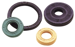OIl Seals in Chennai