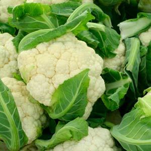 Cauliflower