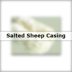 Salted Sheep Casing