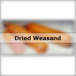 Dried Weasand