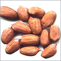 Peanut