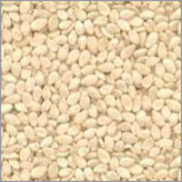 Organic Sesame Seeds