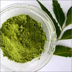 Neem Leaves
