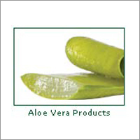 Aloe Vera