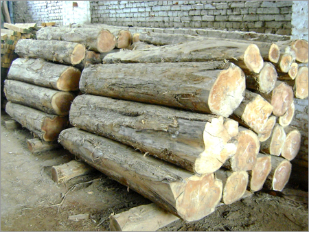 Teak Planks