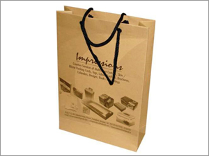Paper Carry Bags Printing Service