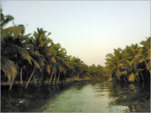 Backwaters