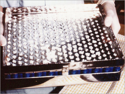 Handmade Sugar Pellets