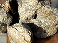 H C and L C Ferro Manganese