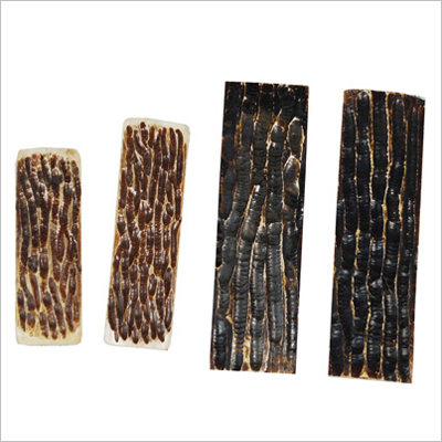 Jigged Camel Bone Scale