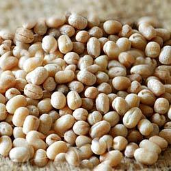 White whole Urad Dal