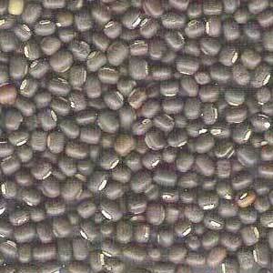 Black Urad Dhal