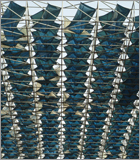 Beautiful Structures