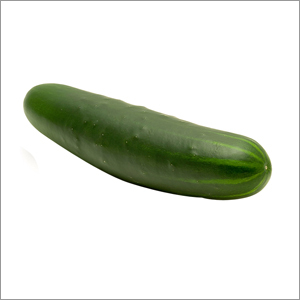 Fresh Cucumber